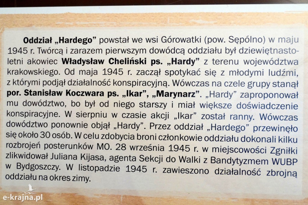 Dla Ciebie Polsko i dla Twojej Chwały