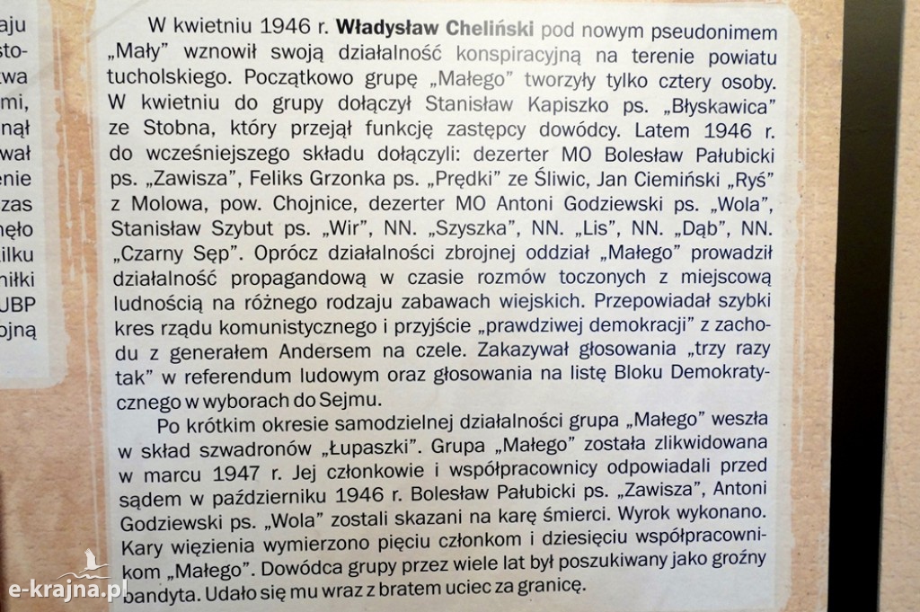 Dla Ciebie Polsko i dla Twojej Chwały