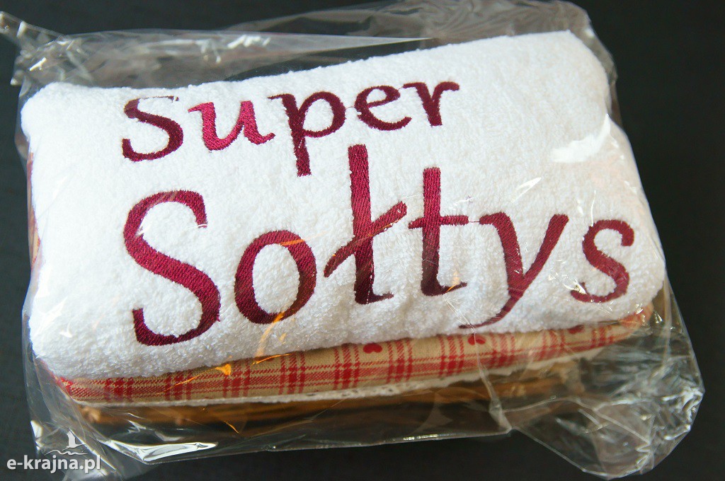 Sępoleńscy sołtysi świętowali