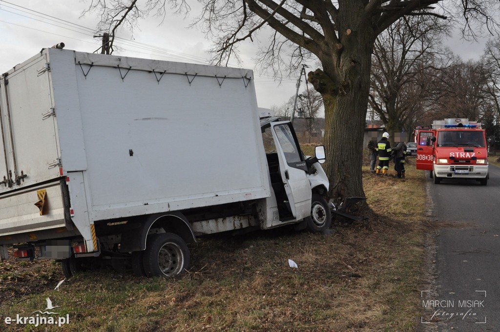 Ford Transit uderzył w drzewo