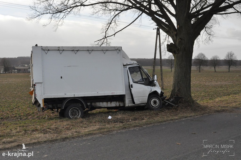 Ford Transit uderzył w drzewo