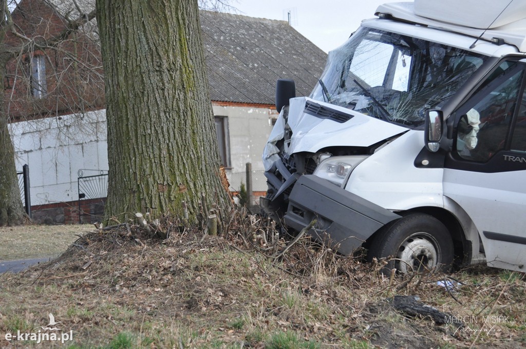 Ford Transit uderzył w drzewo