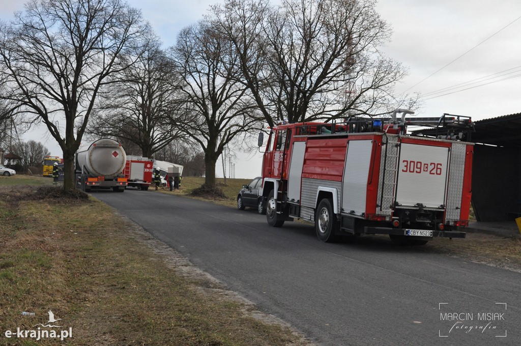 Ford Transit uderzył w drzewo