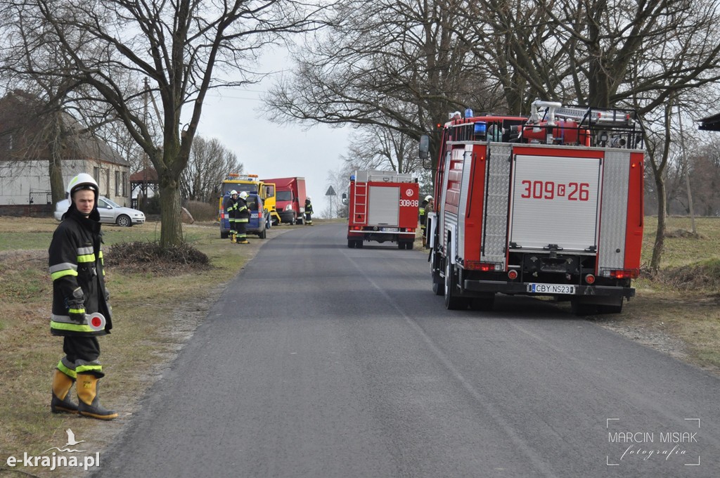 Ford Transit uderzył w drzewo