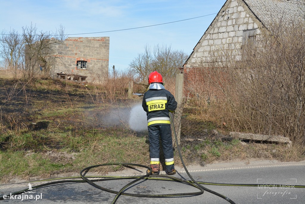 Pożar trawy w Sikorzu