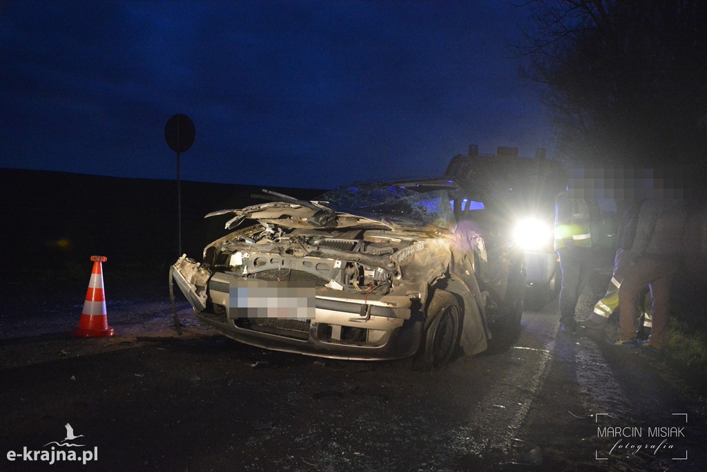 Skoda wypadła z drogi