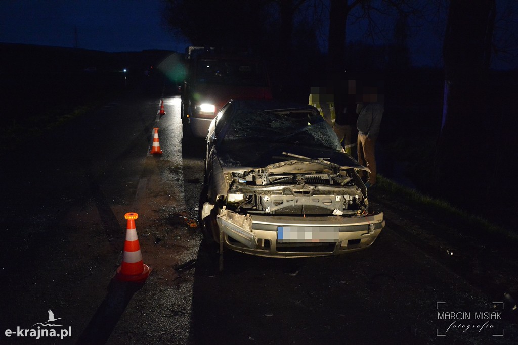 Skoda wypadła z drogi