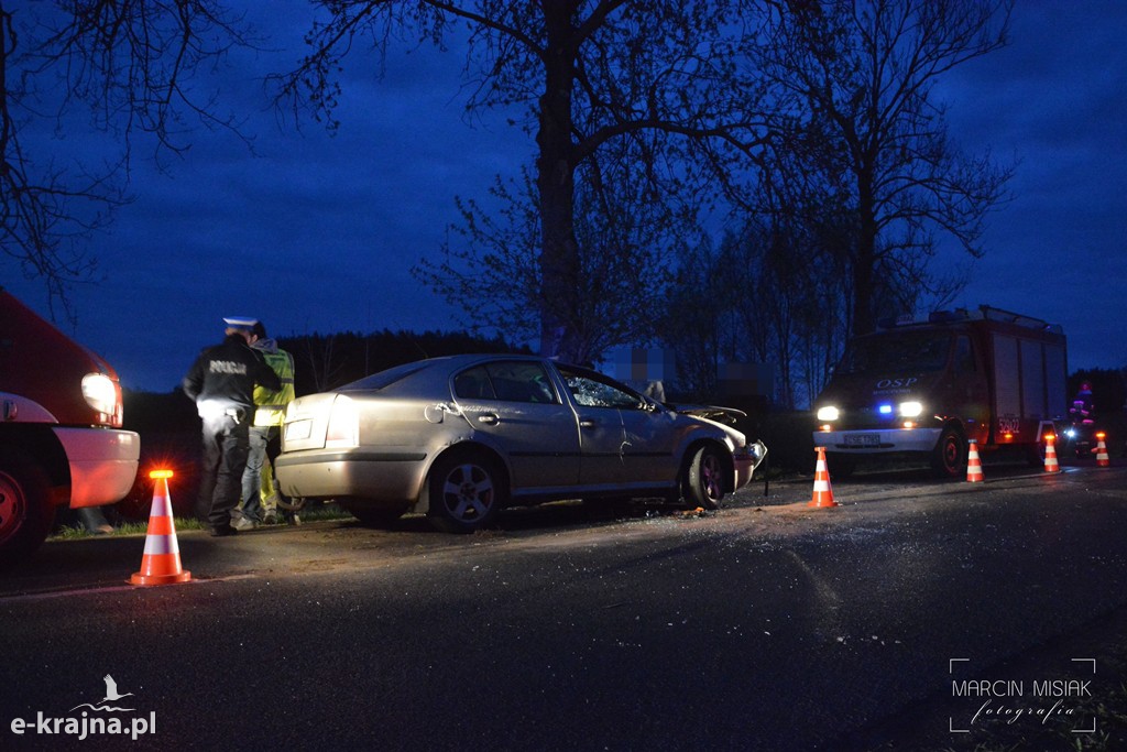 Skoda wypadła z drogi