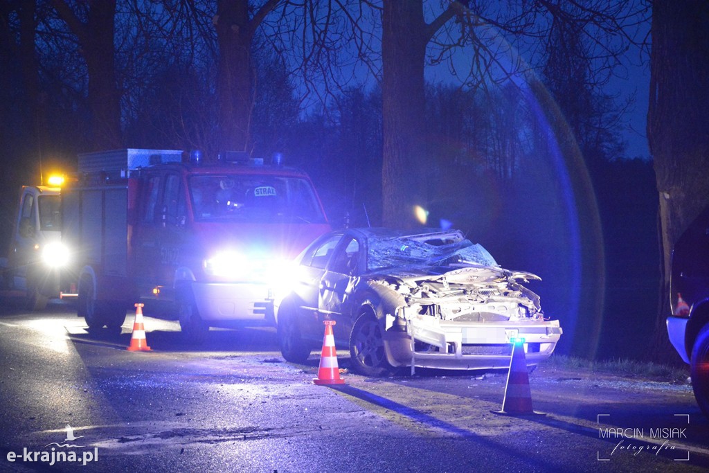 Skoda wypadła z drogi