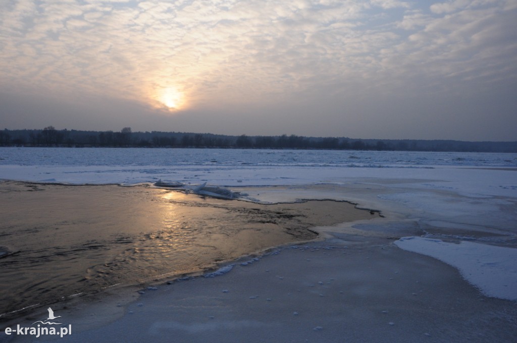 Rok Rzeki Wisły
