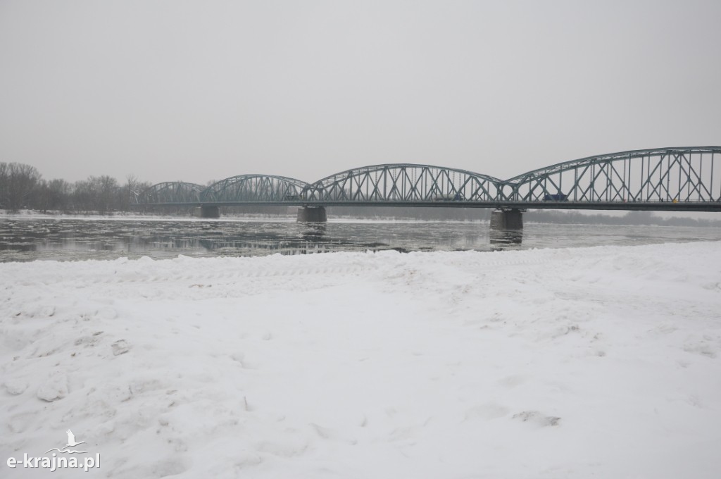 Rok Rzeki Wisły