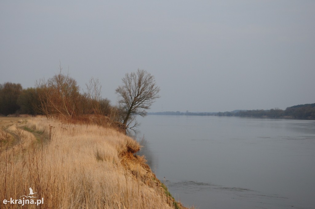 Rok Rzeki Wisły