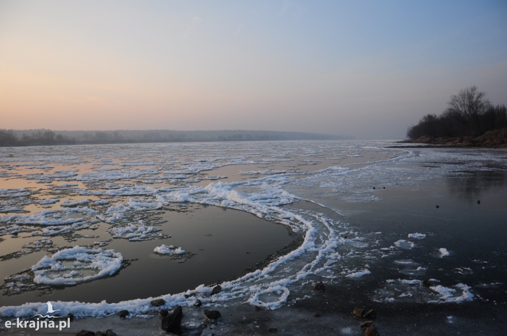 Rok Rzeki Wisły