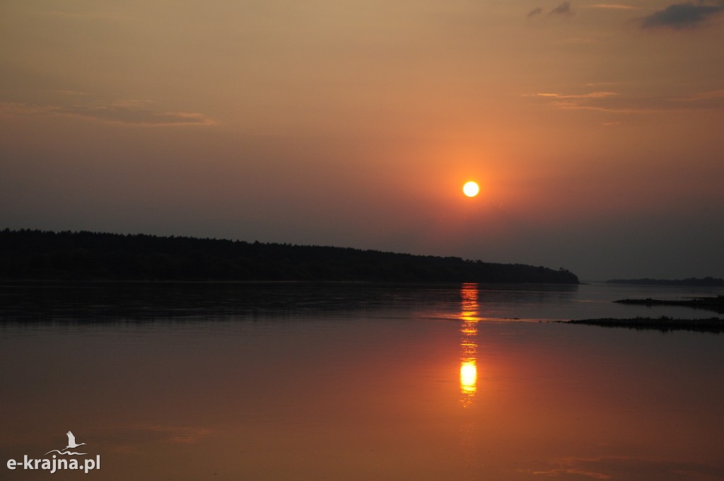Rok Rzeki Wisły