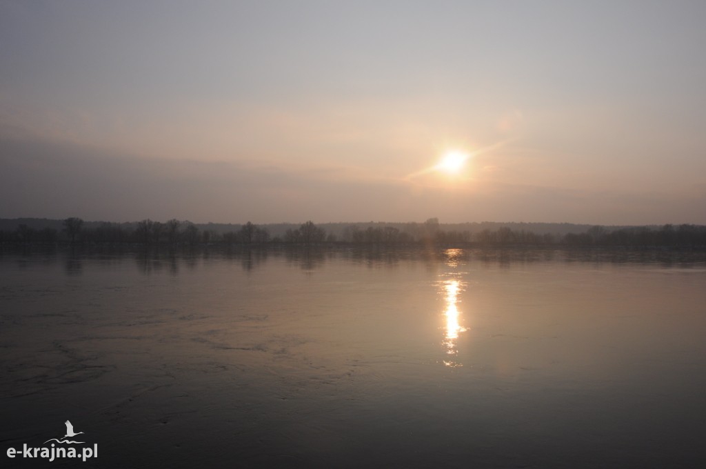 Rok Rzeki Wisły