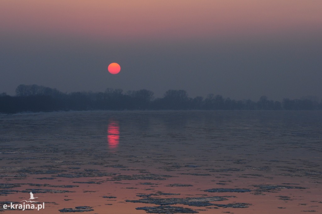 Rok Rzeki Wisły