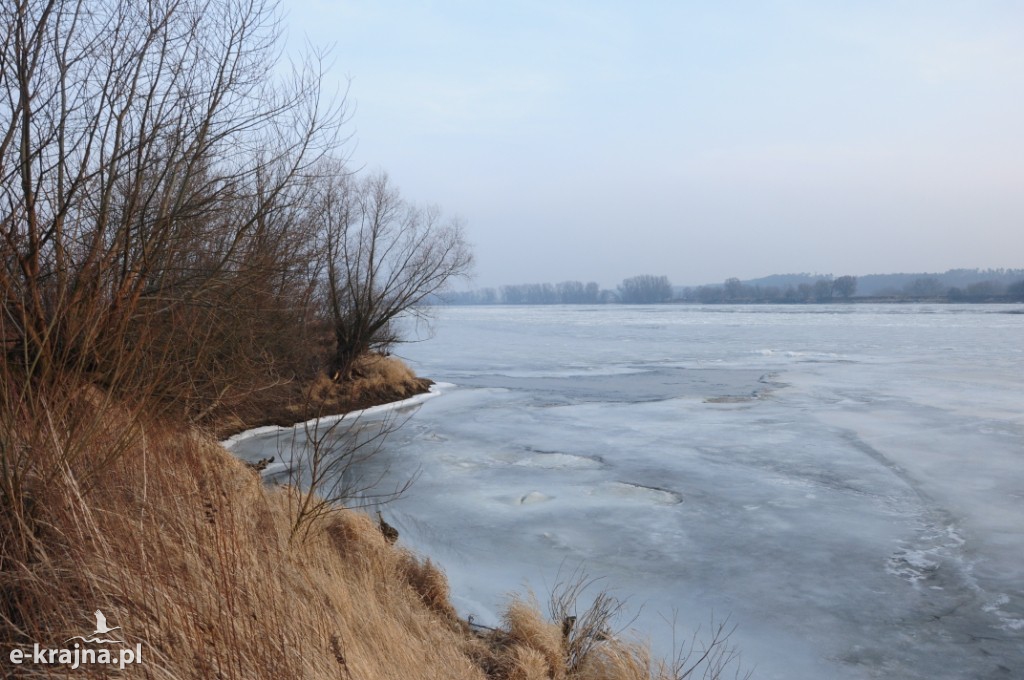 Rok Rzeki Wisły