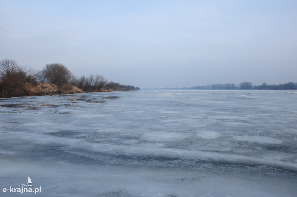 Rok Rzeki Wisły