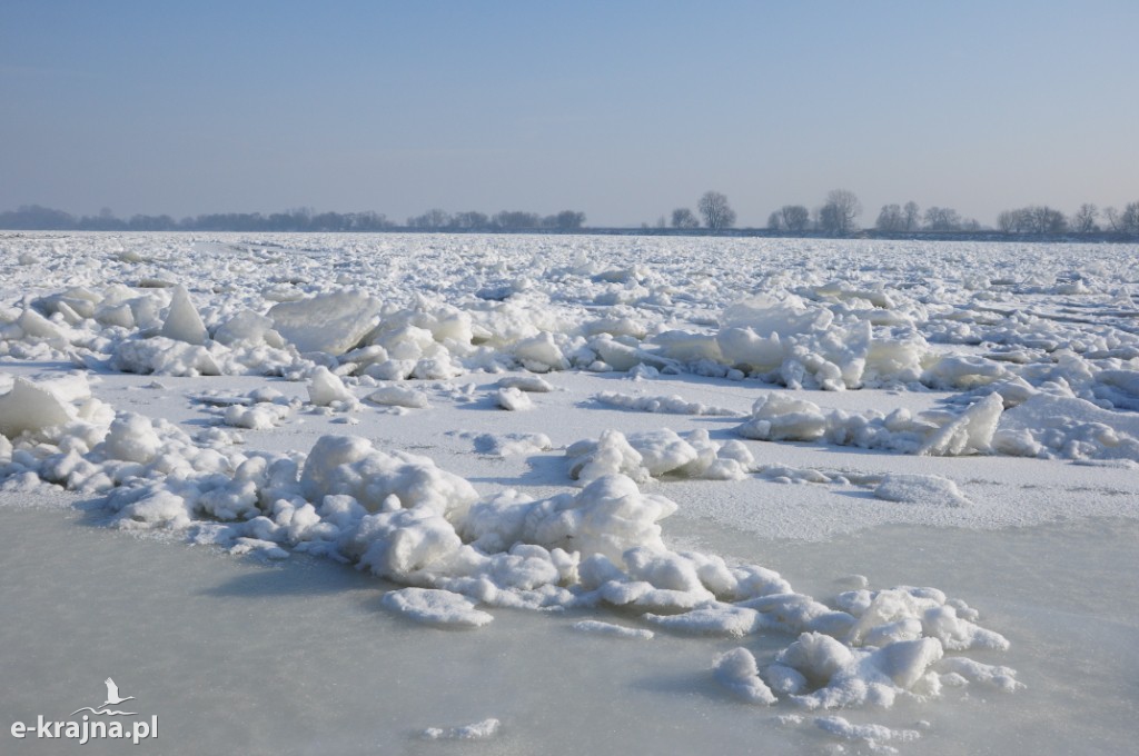 Rok Rzeki Wisły