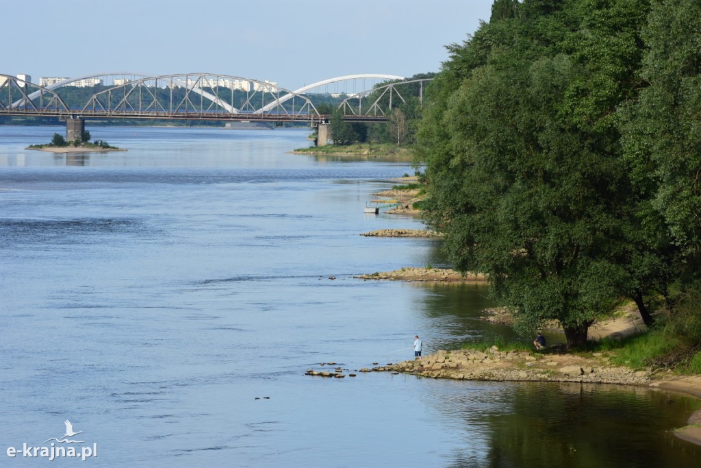 Rok Rzeki Wisły