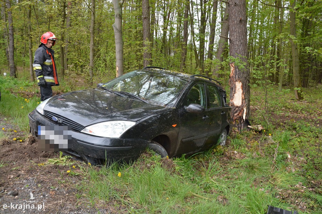 DK 25: Ford uderzył w drzewo