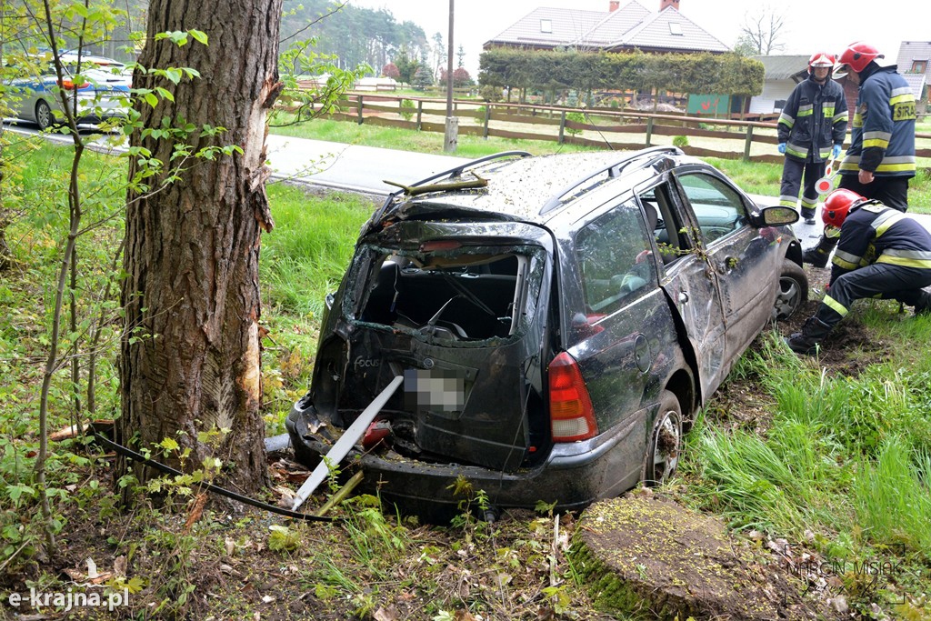 DK 25: Ford uderzył w drzewo