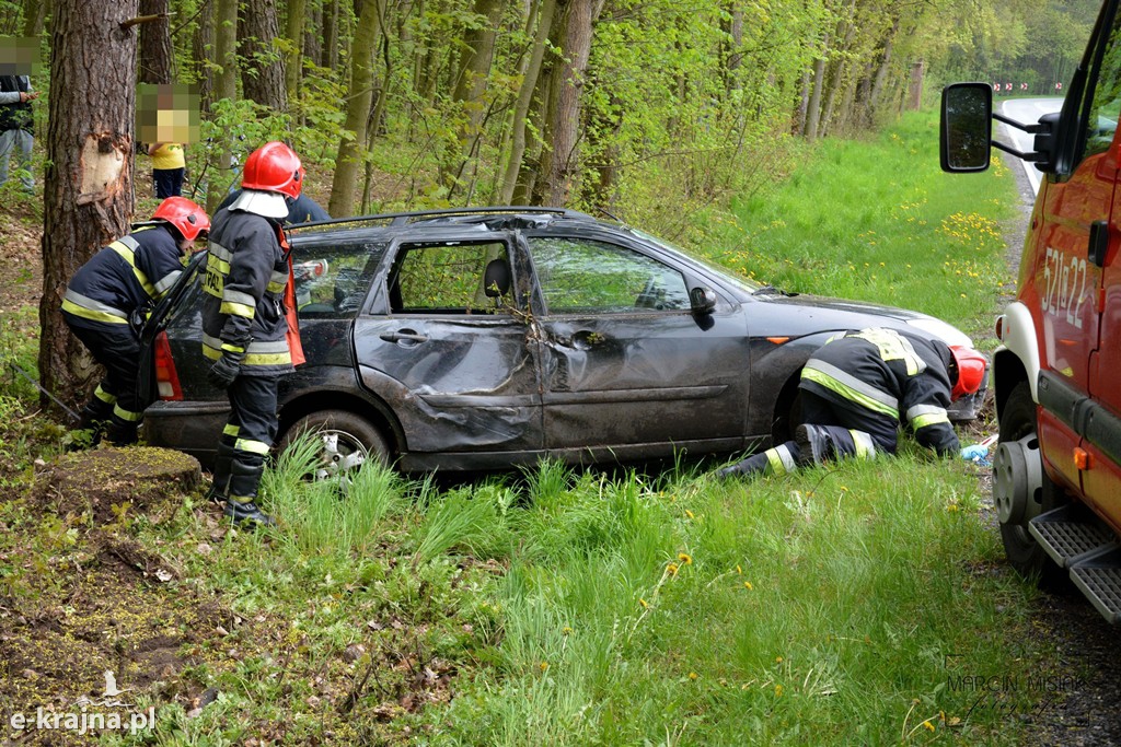 DK 25: Ford uderzył w drzewo