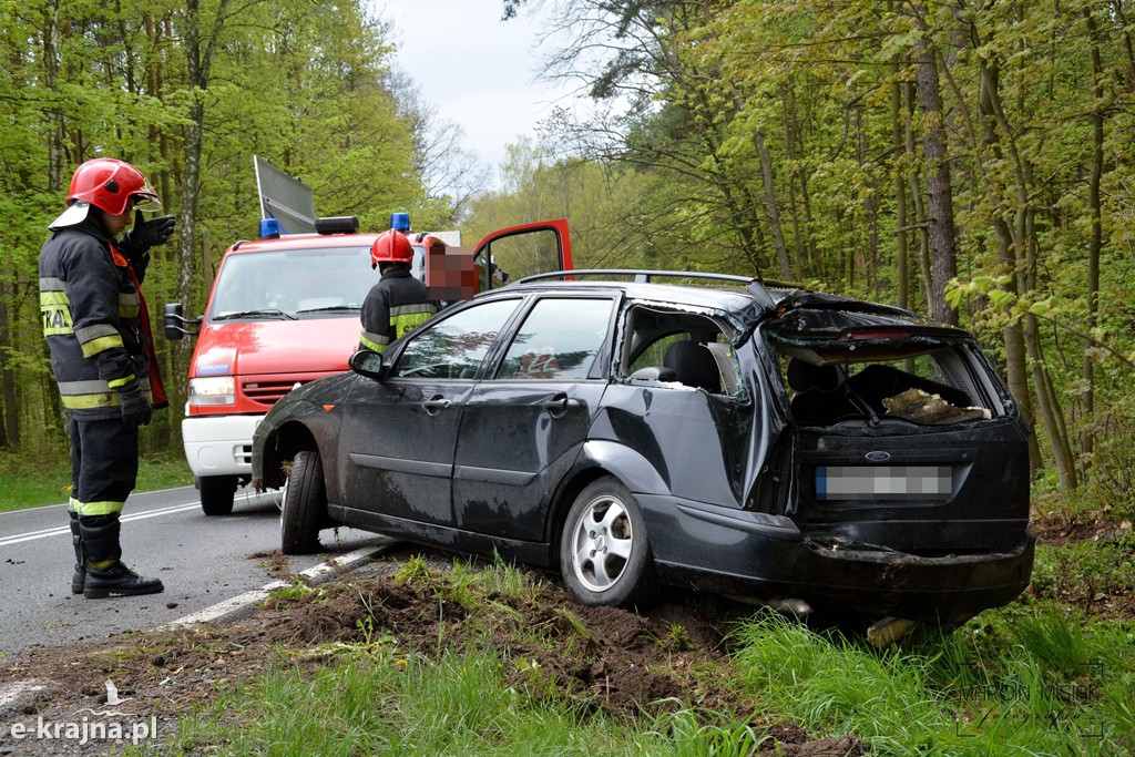DK 25: Ford uderzył w drzewo