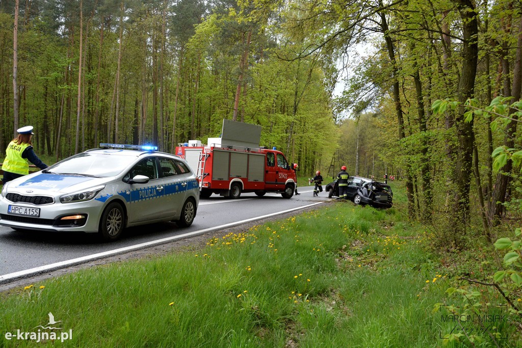 DK 25: Ford uderzył w drzewo