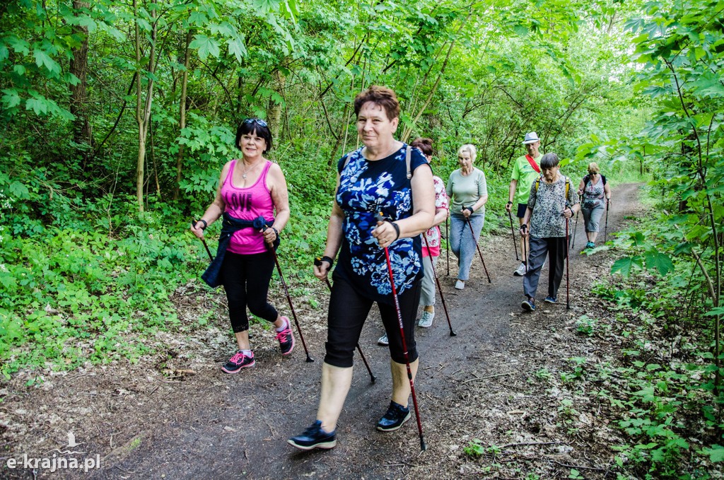 Więcbork: Półmetek zajęć nordic walking
