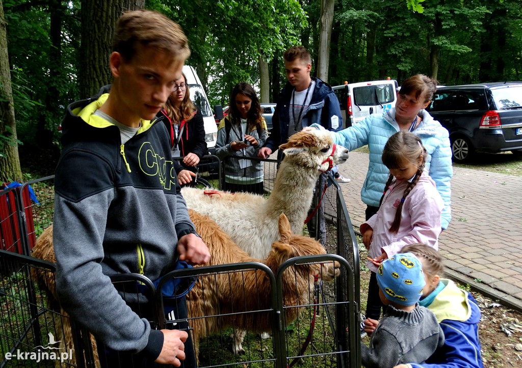 Festiwal Piosenki Turystycznej dla Osób Niepełnosprawnych
