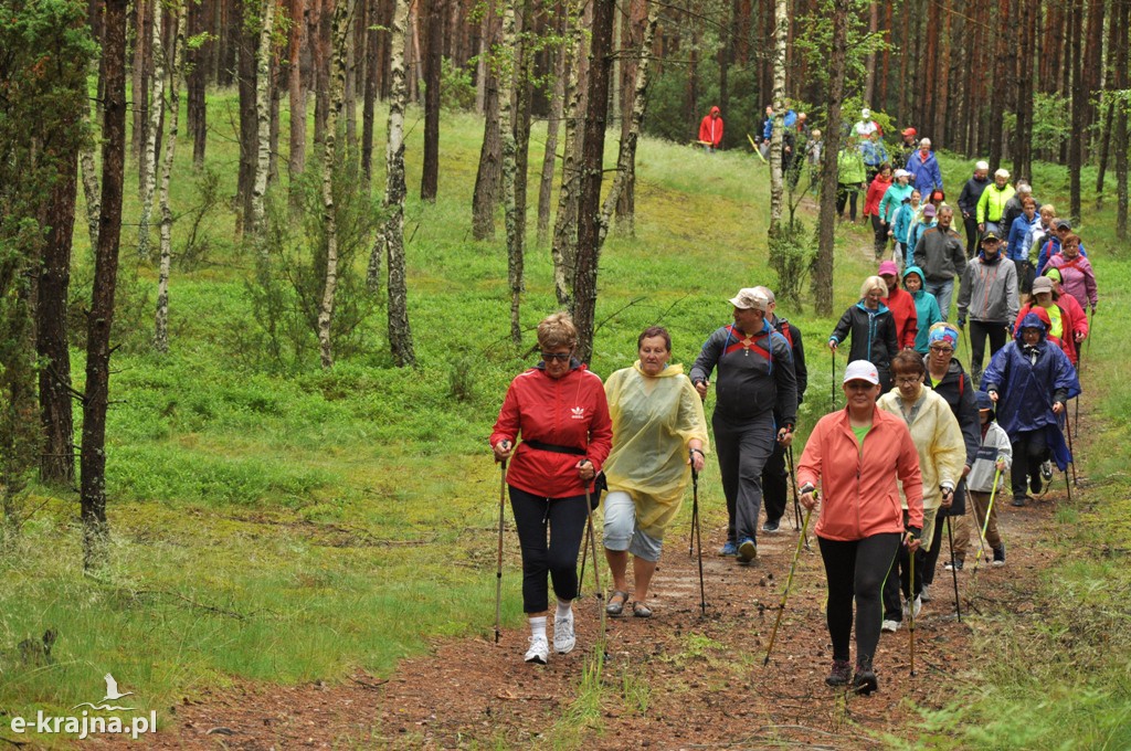 IV Rajd Nordic Walking w Jeziorkach