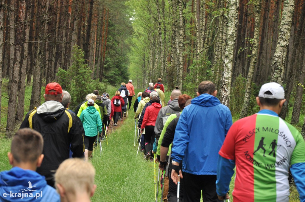 IV Rajd Nordic Walking w Jeziorkach