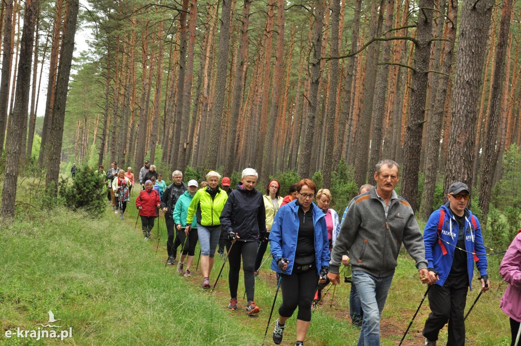 IV Rajd Nordic Walking w Jeziorkach