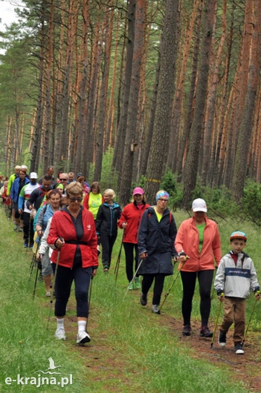 IV Rajd Nordic Walking w Jeziorkach