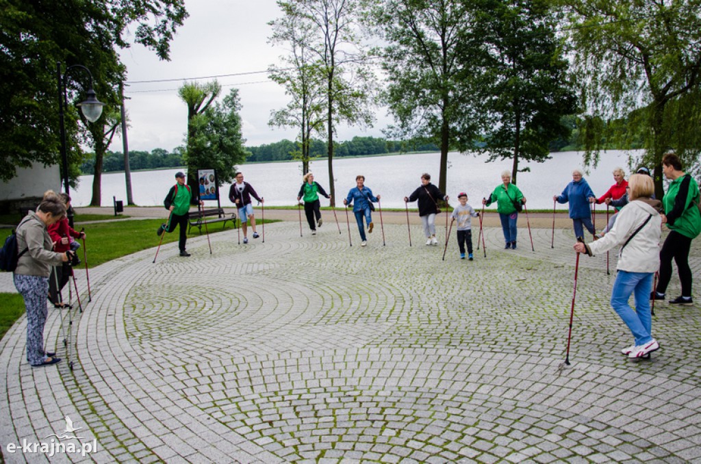 Zakończenie zajęć nordic walking i piknik Klubu Seniora