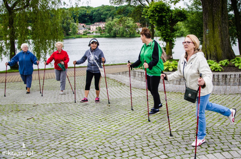 Zakończenie zajęć nordic walking i piknik Klubu Seniora