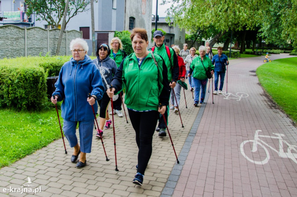 Zakończenie zajęć nordic walking i piknik Klubu Seniora
