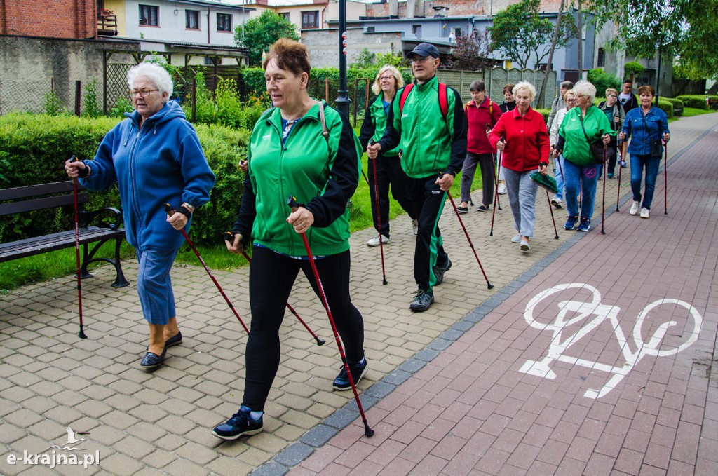 Zakończenie zajęć nordic walking i piknik Klubu Seniora