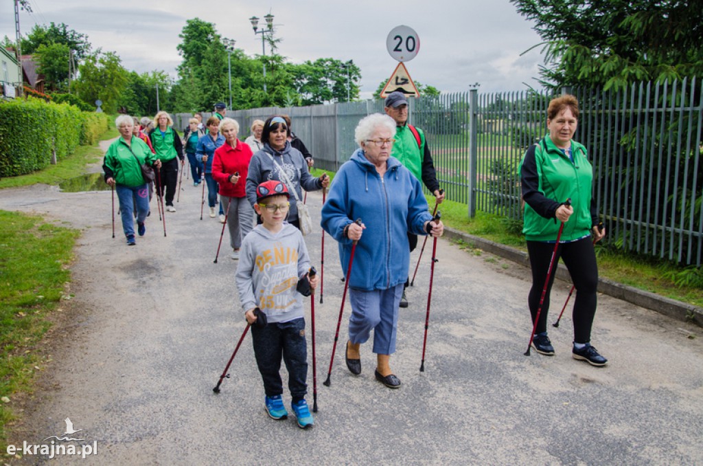 Zakończenie zajęć nordic walking i piknik Klubu Seniora