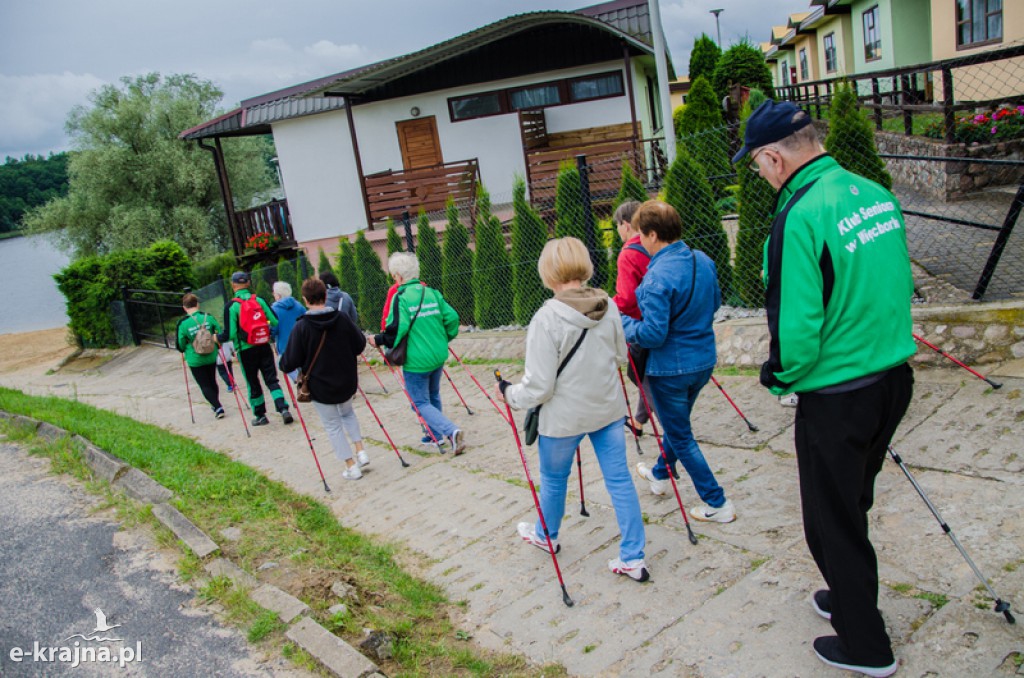 Zakończenie zajęć nordic walking i piknik Klubu Seniora