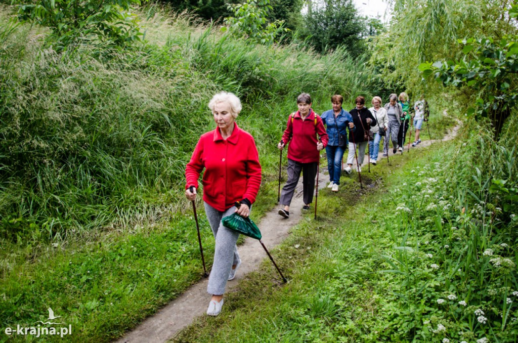 Zakończenie zajęć nordic walking i piknik Klubu Seniora