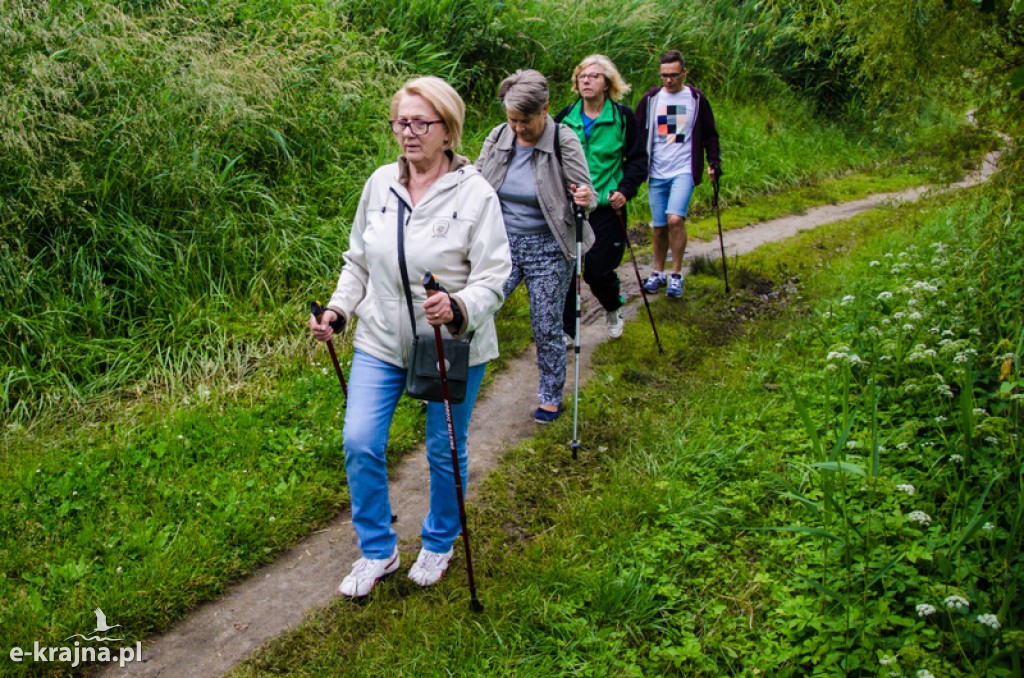 Zakończenie zajęć nordic walking i piknik Klubu Seniora