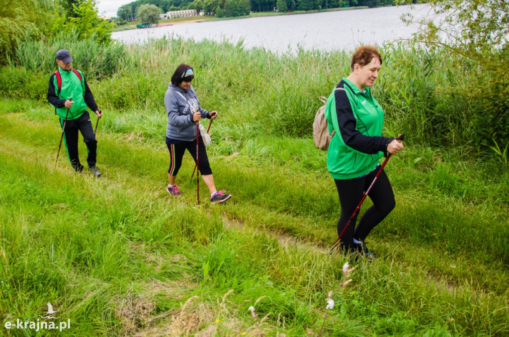 Zakończenie zajęć nordic walking i piknik Klubu Seniora