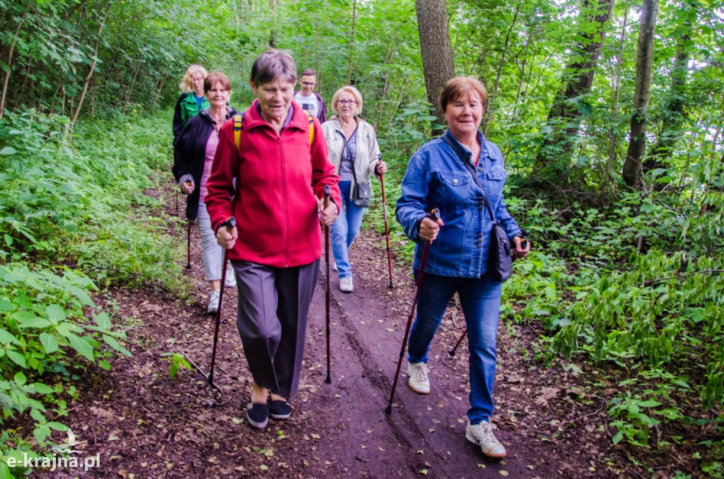 Zakończenie zajęć nordic walking i piknik Klubu Seniora