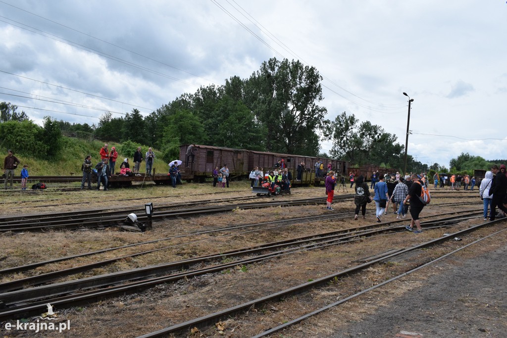 VII Zlot Miłośników Kolejek Wąskotorowych