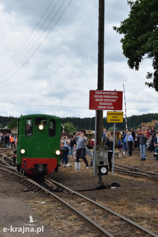 VII Zlot Miłośników Kolejek Wąskotorowych