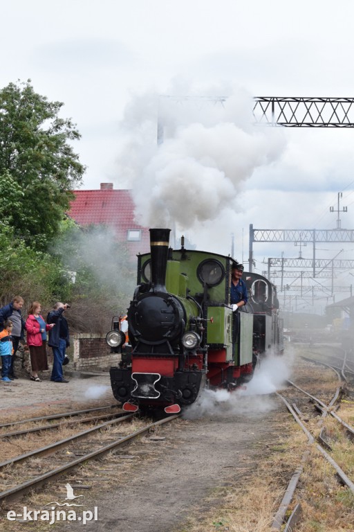 VII Zlot Miłośników Kolejek Wąskotorowych