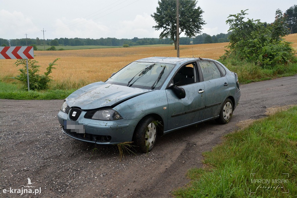 Dachowanie w Dalkowie na trasie Więcbork - Sępólno