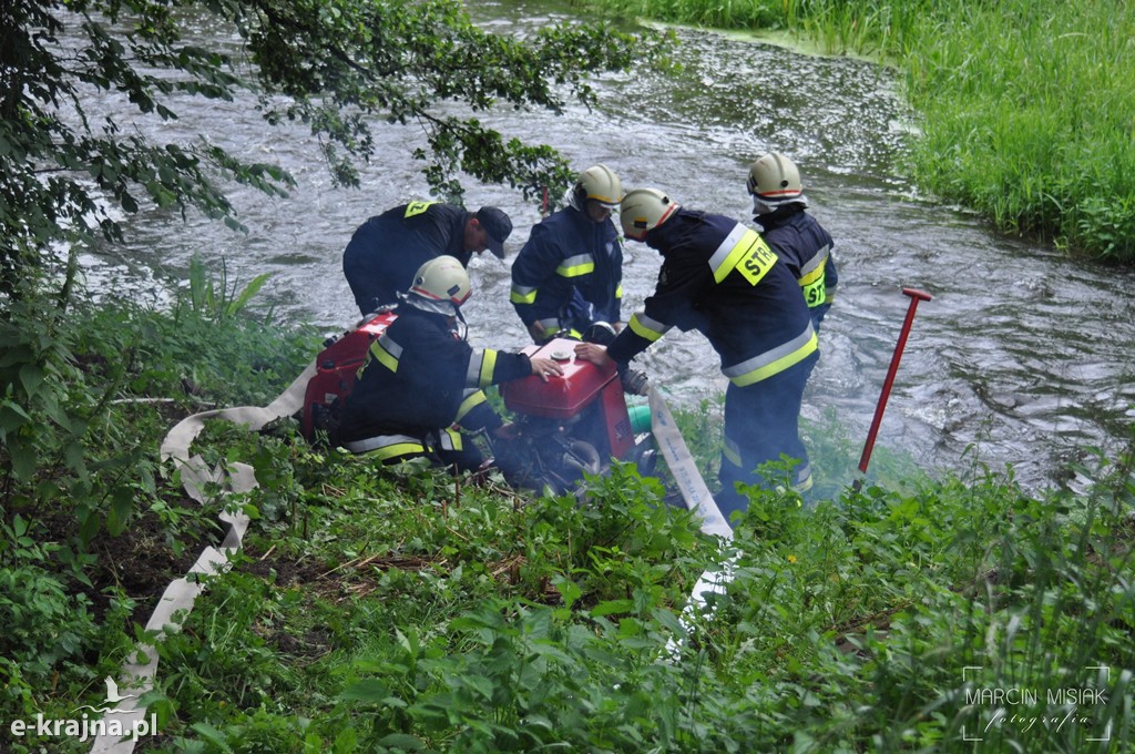 Pożar lasu w Ludwichowie